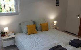 Studio : le petit comtois